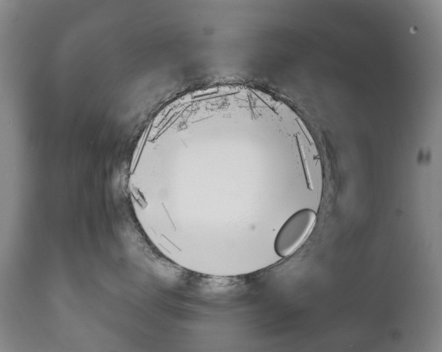 X0000111230672200907021025