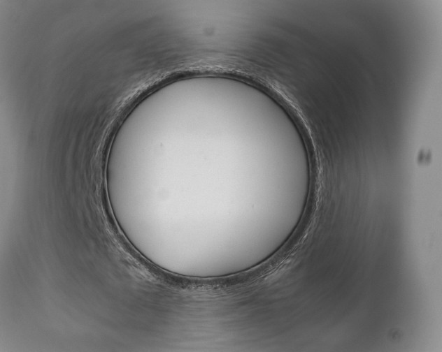 X0000111230673200907021024