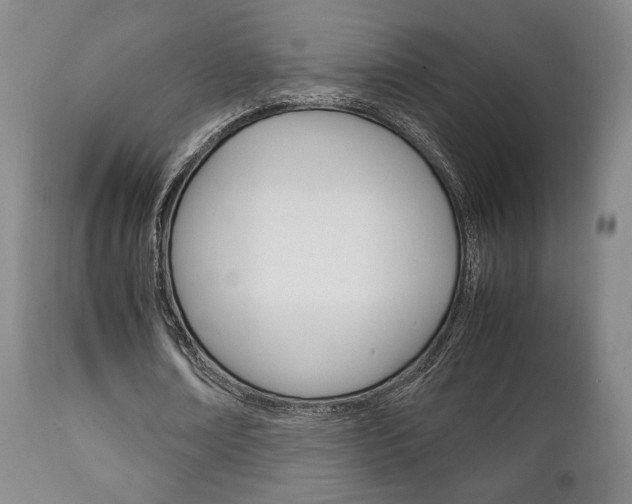 X0000111230674200907021024
