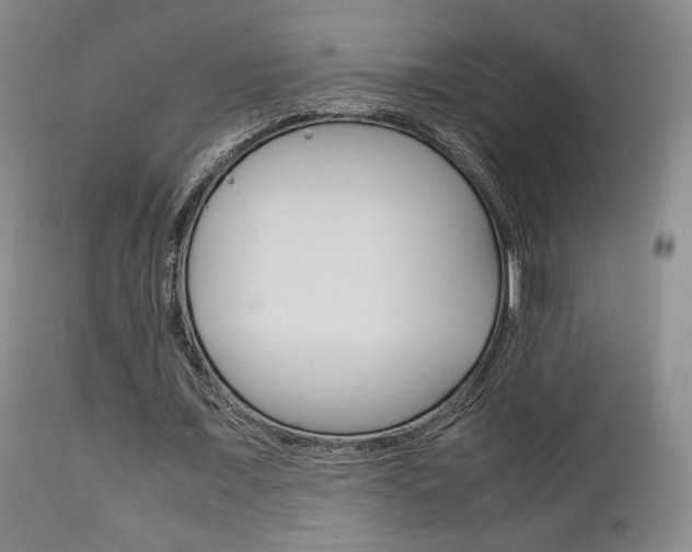 X0000111230675200907021024