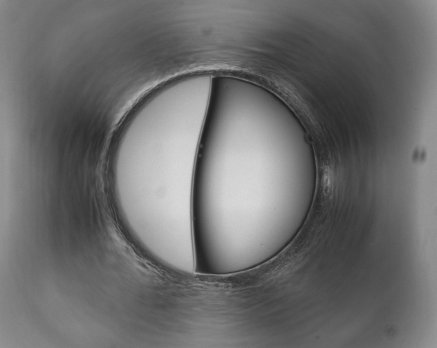 X0000111230676200907021024