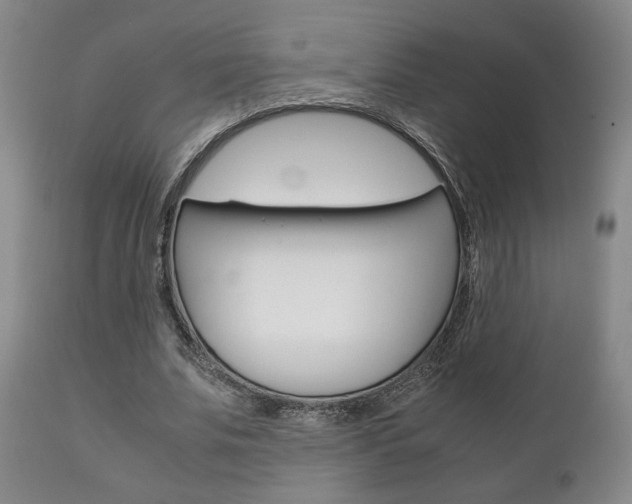 X0000111230679200907021024