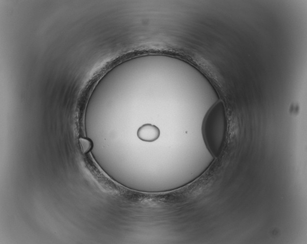 X0000111230680200907021024