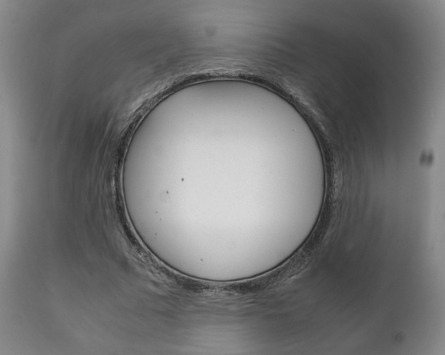 X0000111230681200907021024