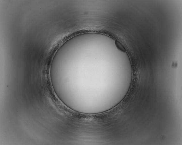 X0000111230688200907021024