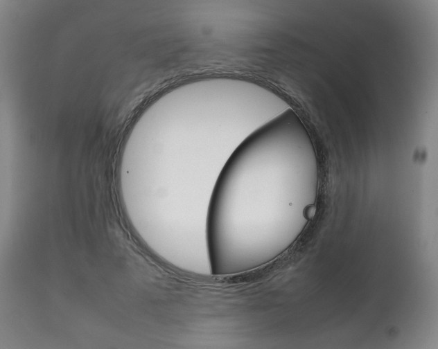 X0000111230689200907021024