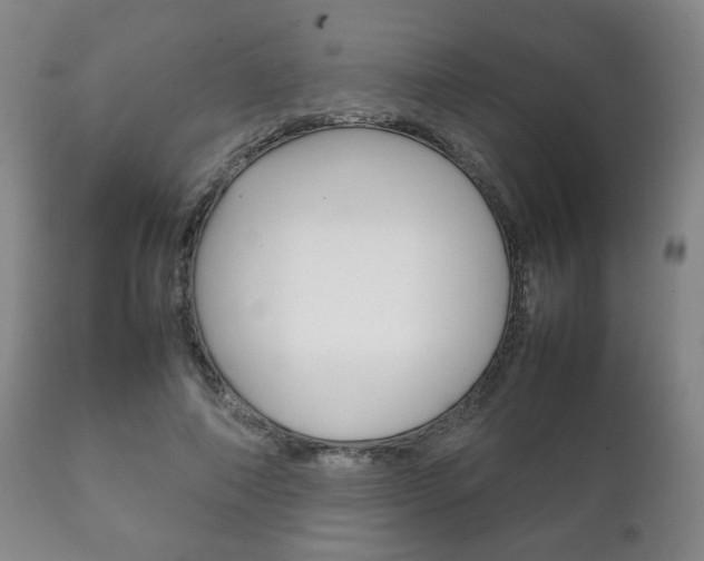X0000111230690200907021024