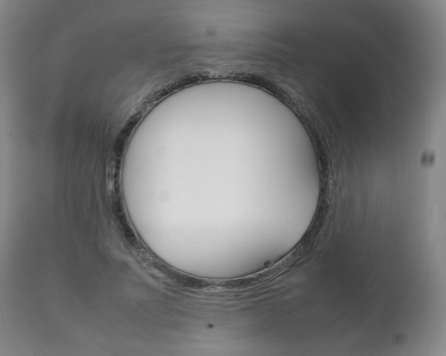 X0000111230691200907021024