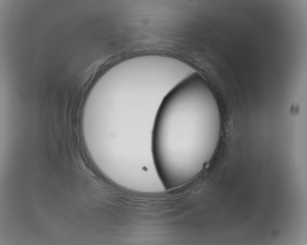 X0000111230693200907021024