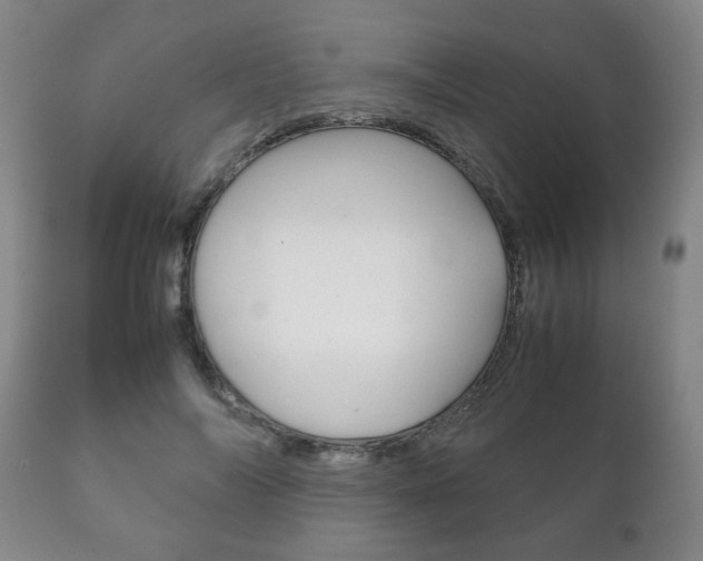 X0000111230694200907021024