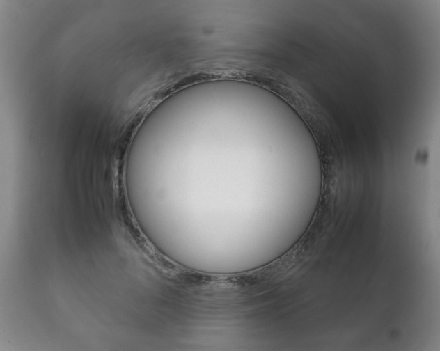 X0000111230696200907021024