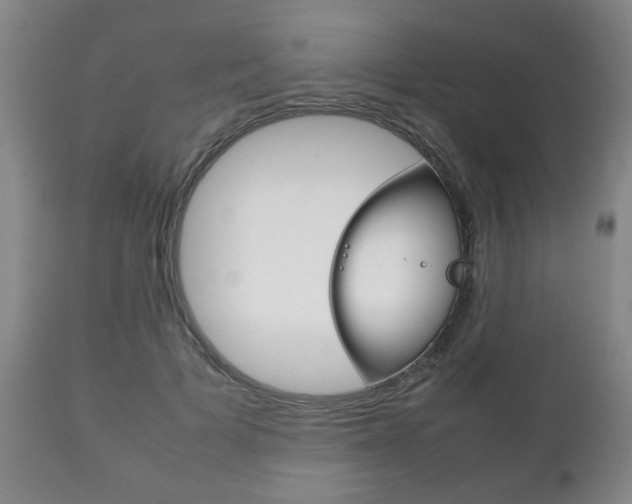 X0000111230697200907021024