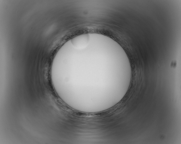 X0000111230698200907021024