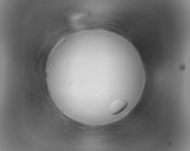 X0000111230701200907021024