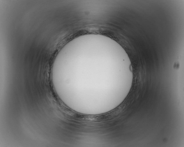 X0000111230702200907021024