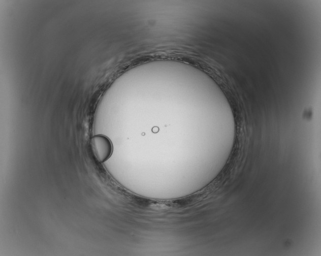 X0000111230703200907021024