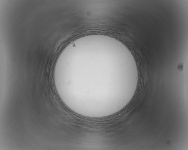 X0000111230705200907021024