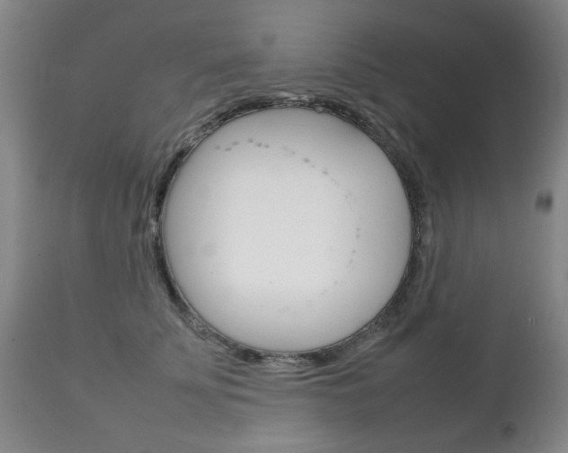 X0000111230707200907021024