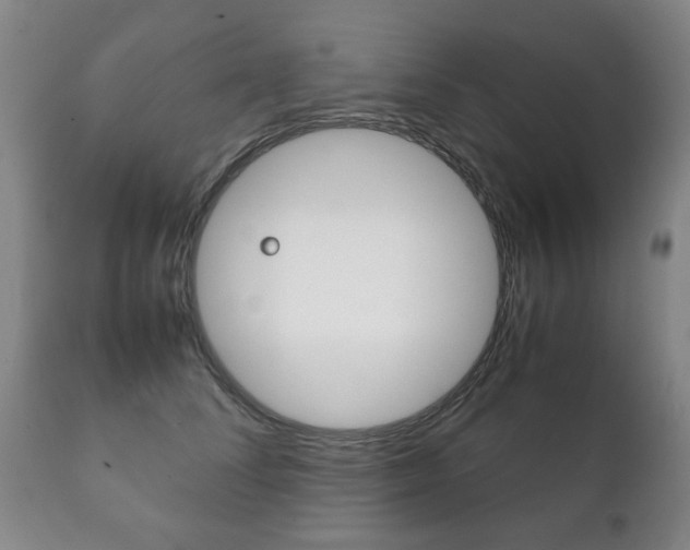 X0000111230708200907021024