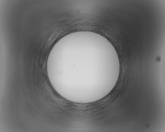 X0000111230709200907021024