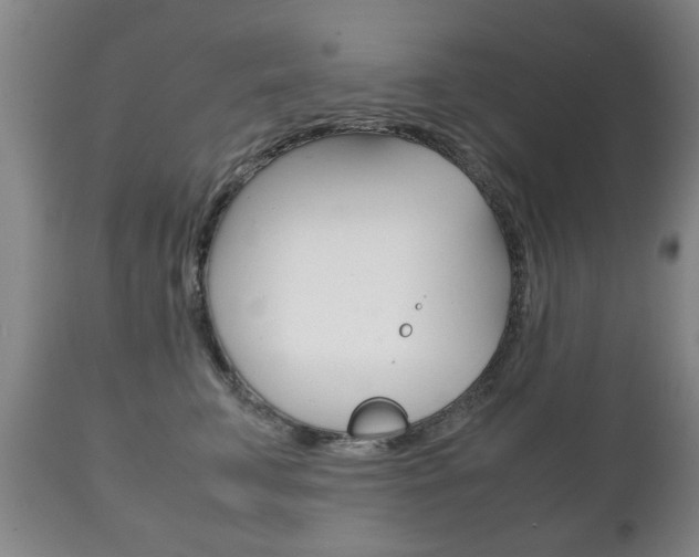 X0000111230711200907021024