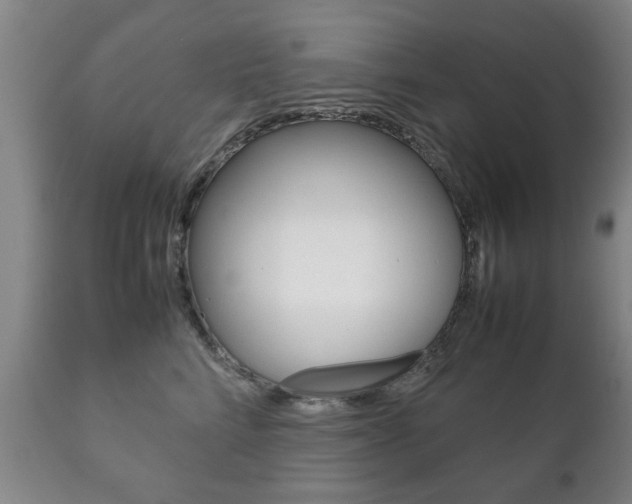 X0000111230712200907021024