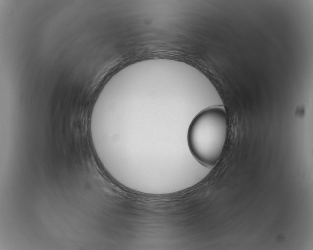 X0000111230716200907021023