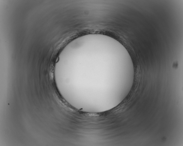 X0000111230719200907021023