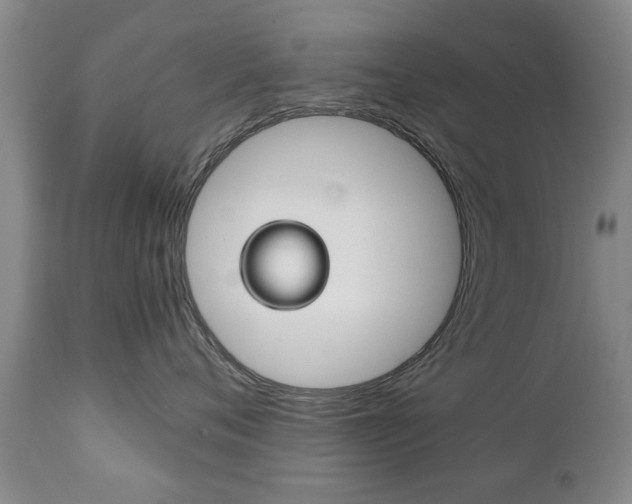 X0000111230720200907021023