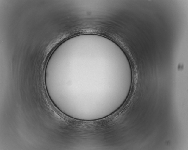 X0000111230721200907021023