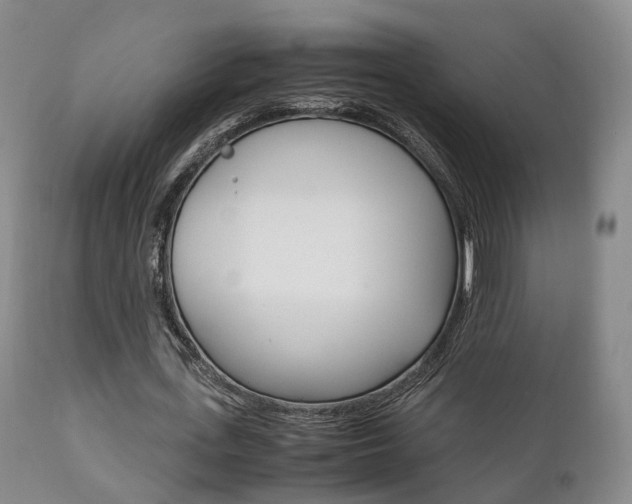 X0000111230723200907021023
