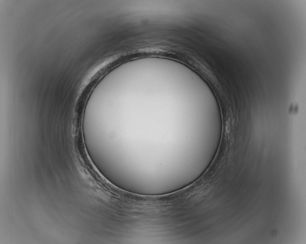 X0000111230724200907021023