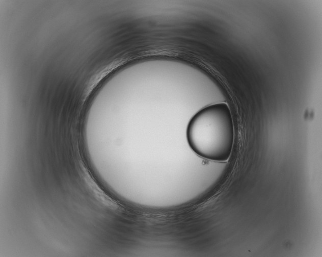 X0000111230725200907021023