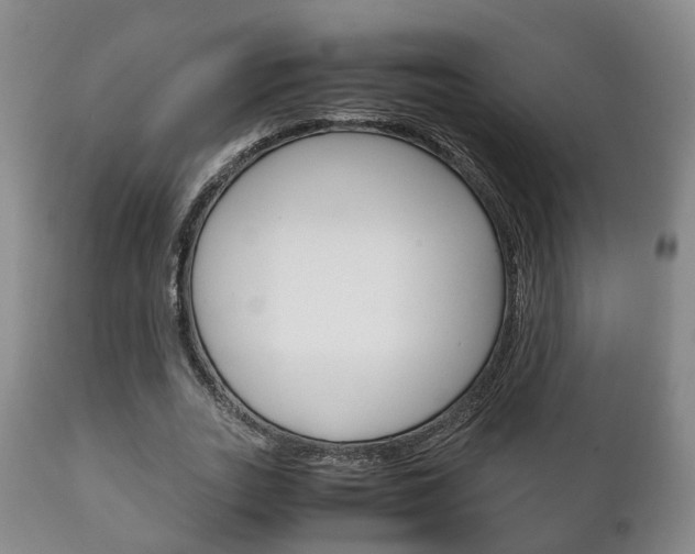 X0000111230727200907021023
