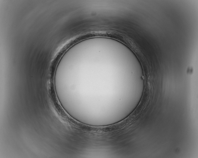 X0000111230728200907021023