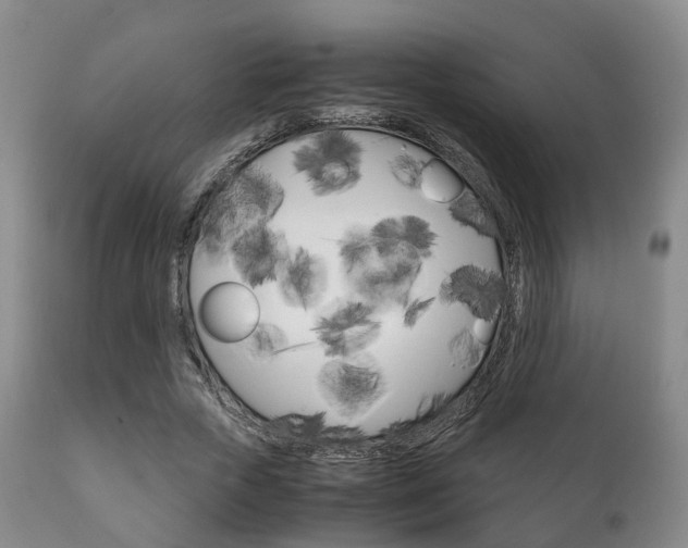 X0000111230729200907021023