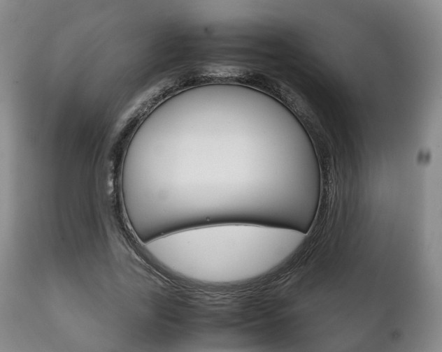 X0000111230731200907021023