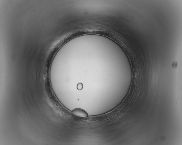 X0000111230732200907021023