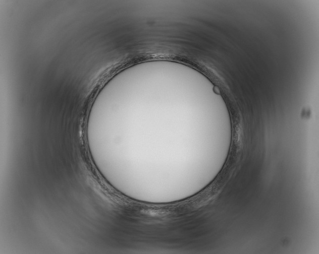 X0000111230733200907021023