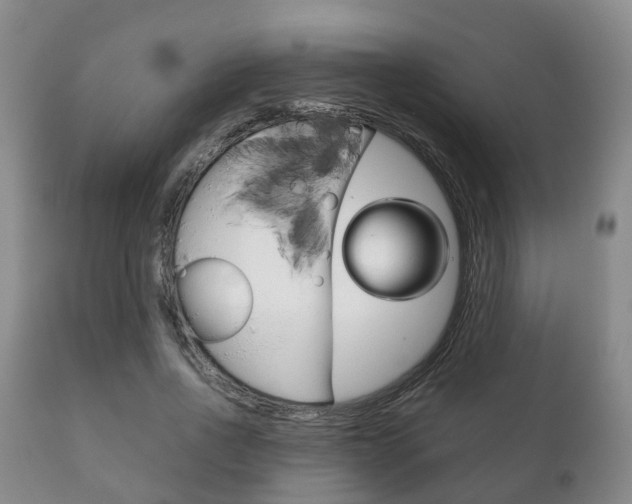 X0000111230734200907021023