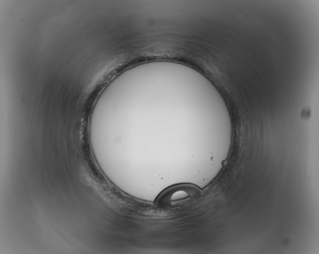 X0000111230735200907021023