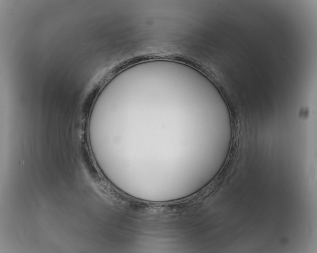 X0000111230736200907021023