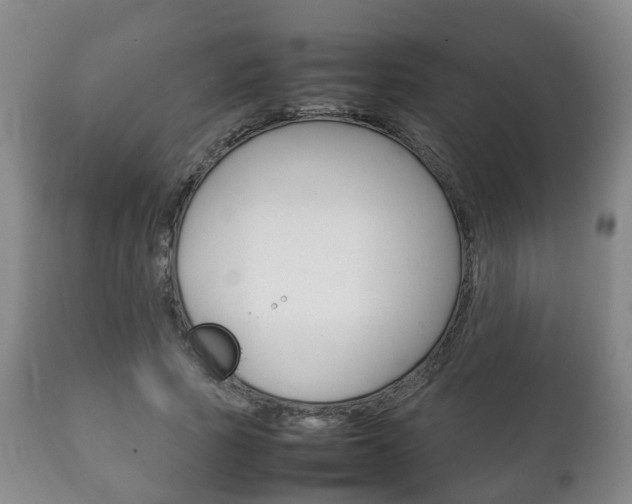X0000111230737200907021023