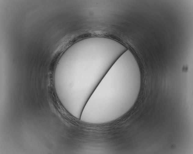 X0000111230738200907021023