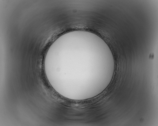 X0000111230739200907021023