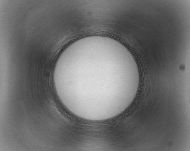 X0000111230744200907021023