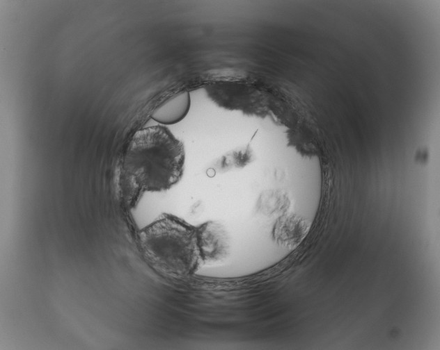 X0000111230745200907021023