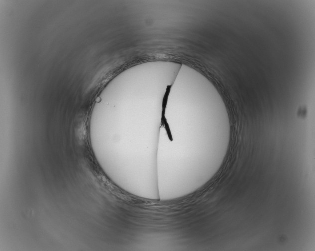 X0000111230746200907021023