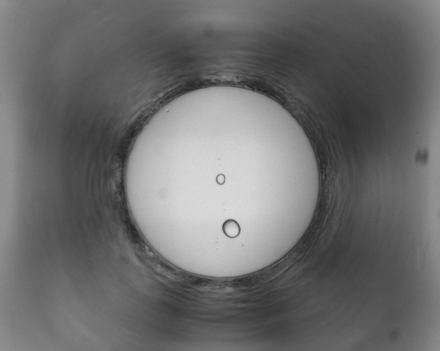 X0000111230747200907021023