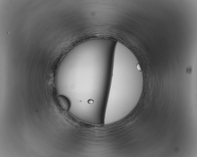 X0000111230748200907021023